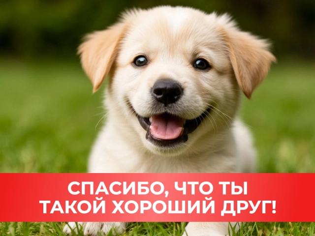 открытка хороший друг