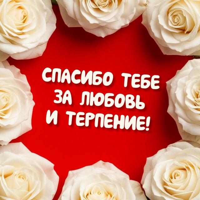 открытки спасибо за любовь и терпение