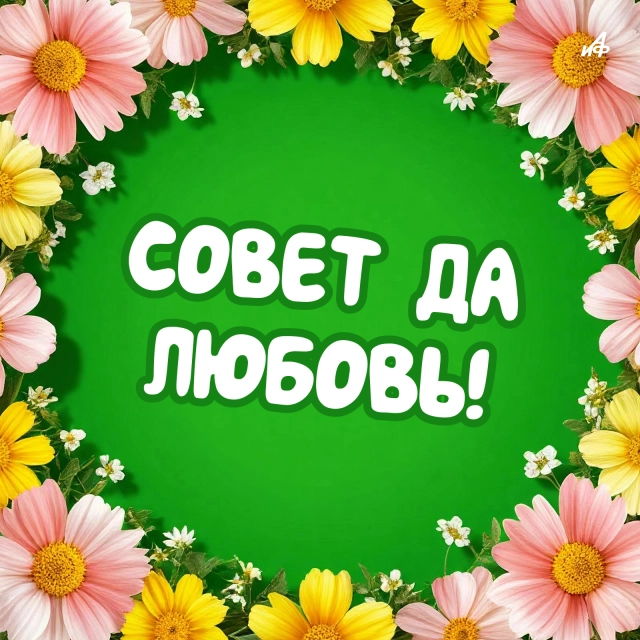 открытка совет да любовь красивая и яркая в день свадьбы скачать бесплатно