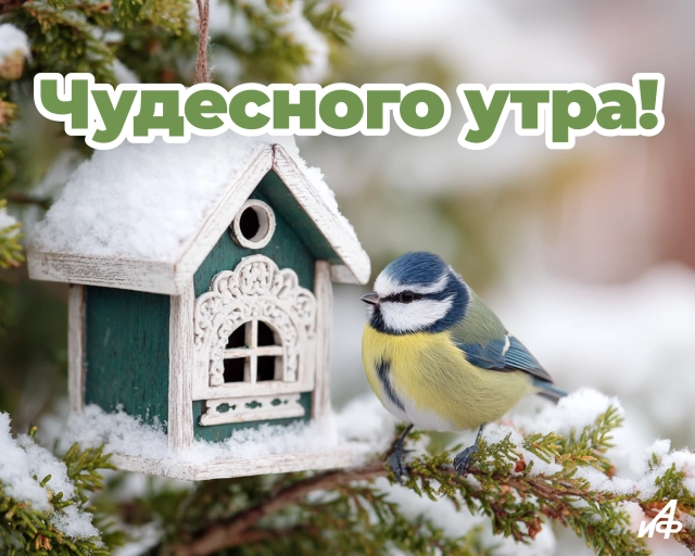 зимнее утро открытка