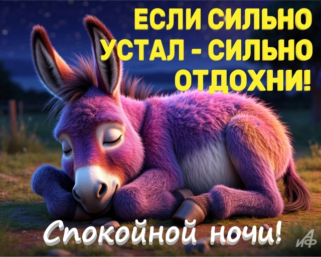 открытки спокойной ночи юмор