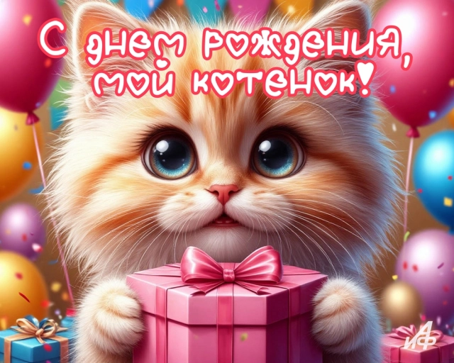 с днем рождения котик открытка пожелание