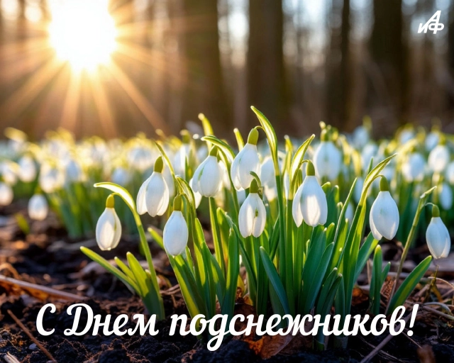 19 апреля день подснежника открытка