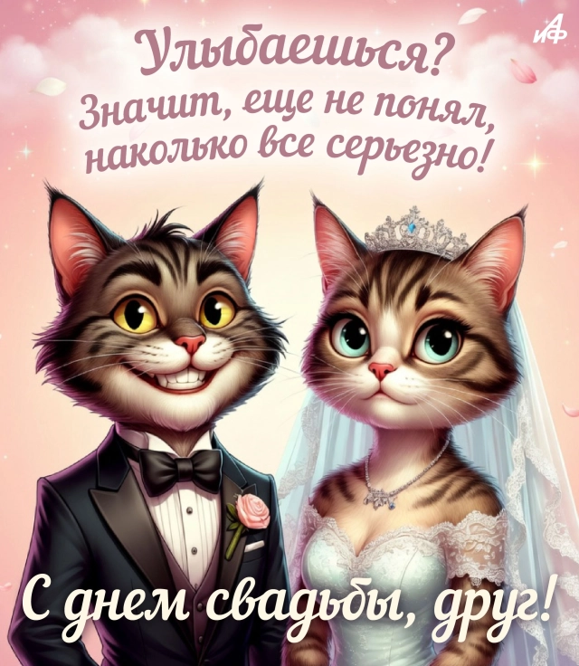 свадебная открытка для пары с юмором и приколом от друзей