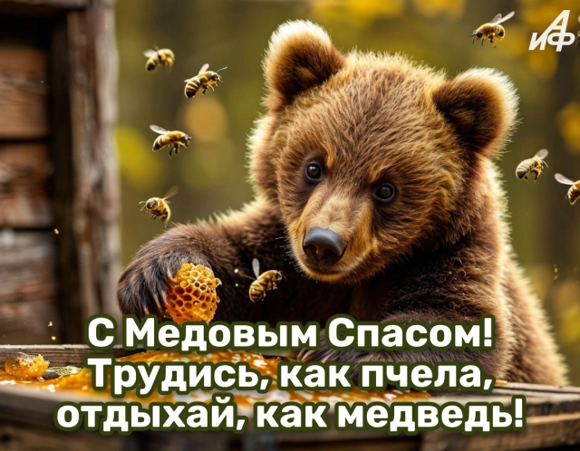 20+ ярких открыток к Медовому спасу: красивые картинки на 14 августа