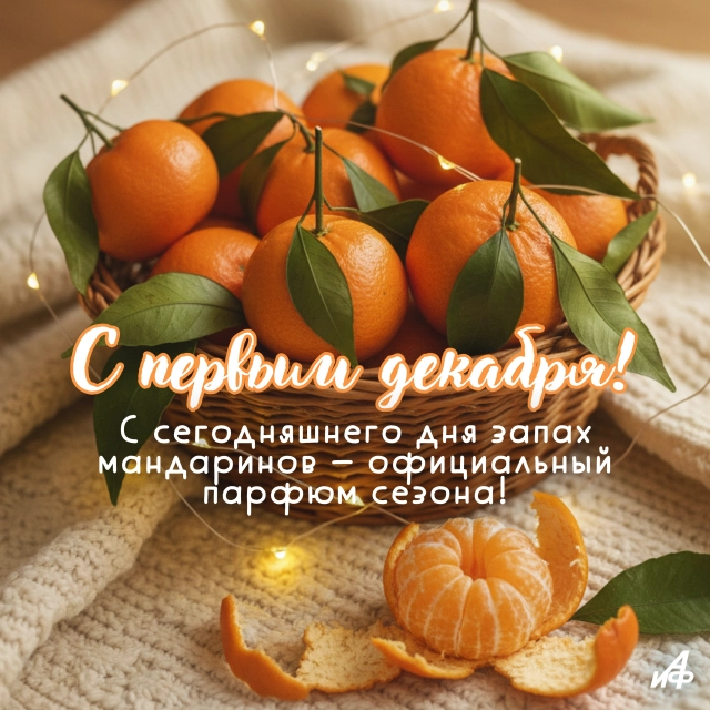 открытка первый день зимы