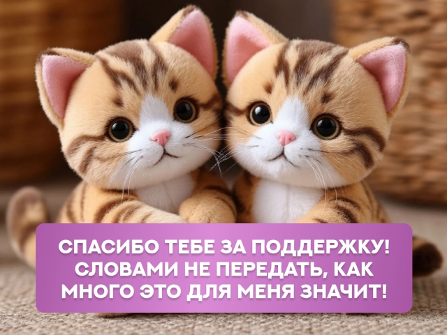 спасибо за поддержку открытки