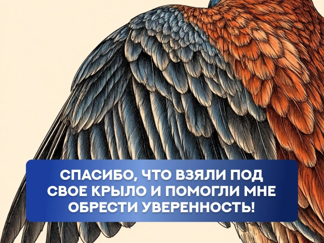 открытка взял под крыло спасибо