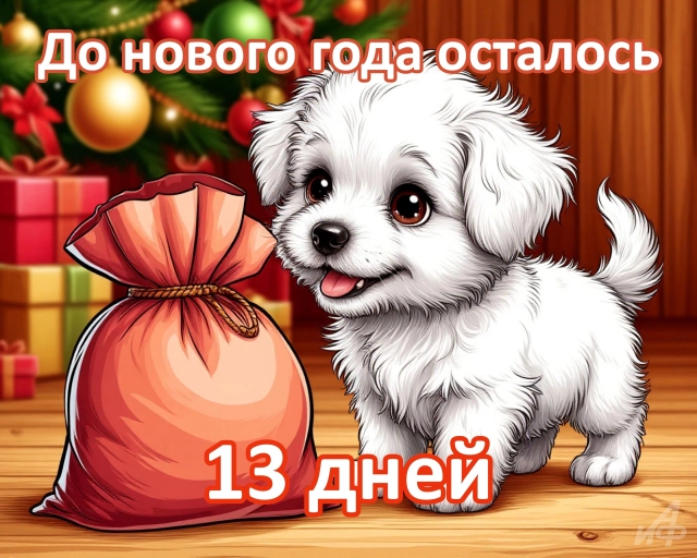 13 дней до нового года открытки