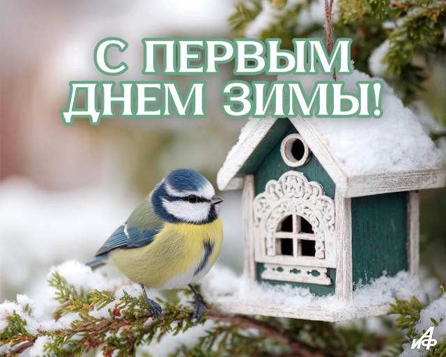 открытка первый день зимы