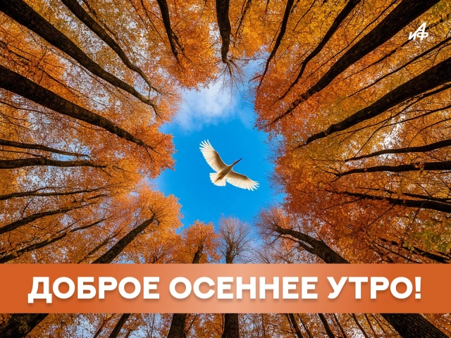 картинки осеннее утро скачать на телефон